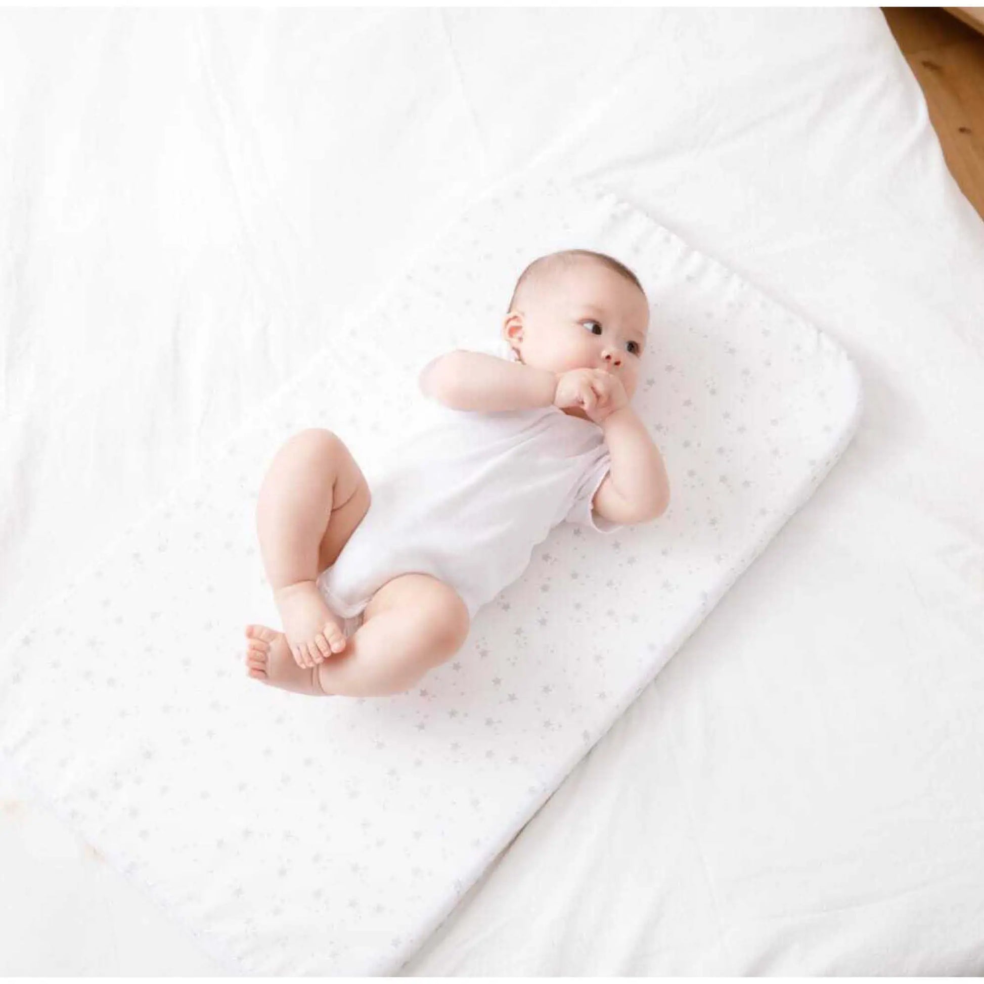 Little Riders Baby Bassinette with Mattress, Rocking Crib Co-sleeping cradle with Mosquito net