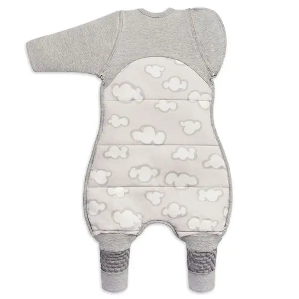 Love to Dream Swaddle UP Transition Suit Warm 2.5 Tog - Daydream Grey