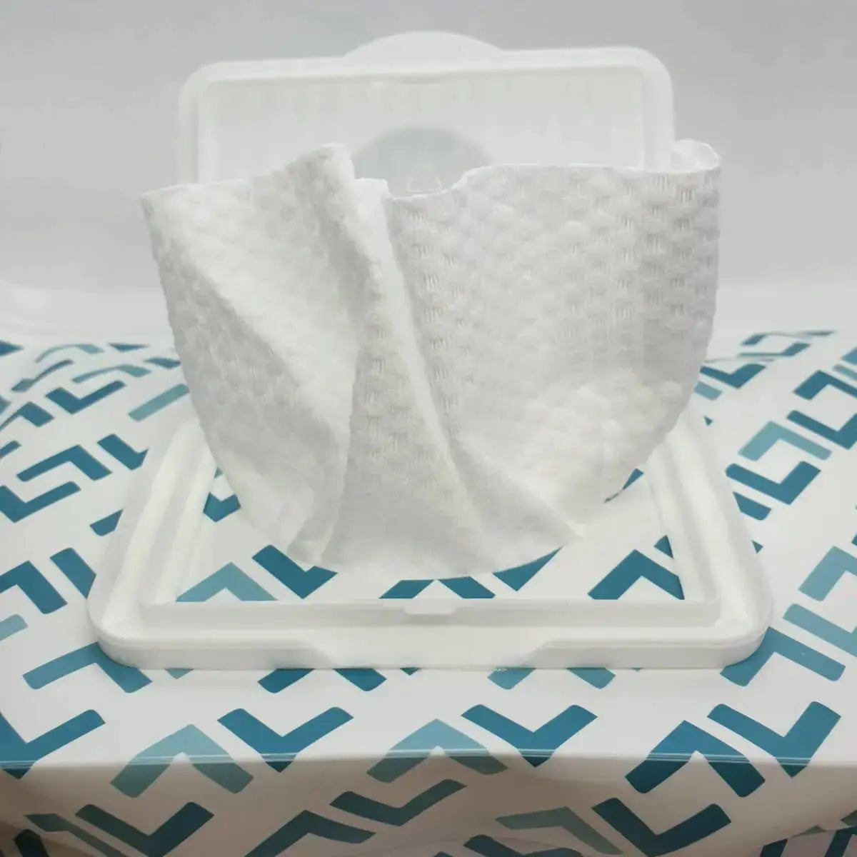 Mininor Dry Wipes Travel Bag