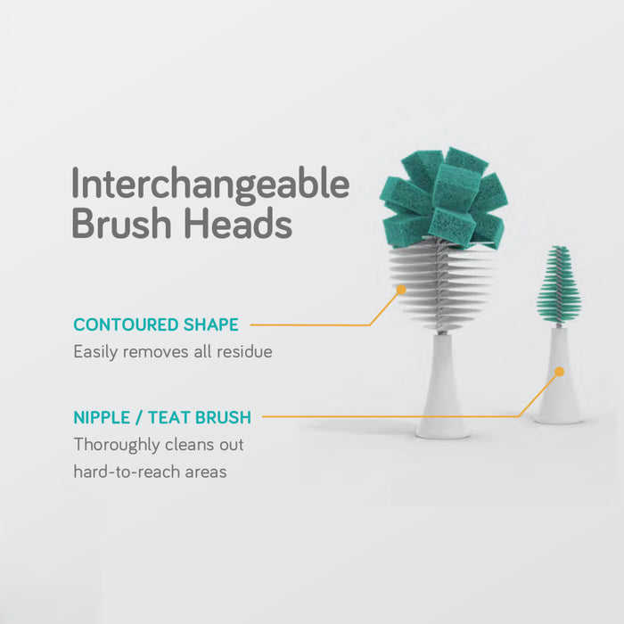 Nanobebe Flexy Brush Heads-Feeding - Bottles & Dummies