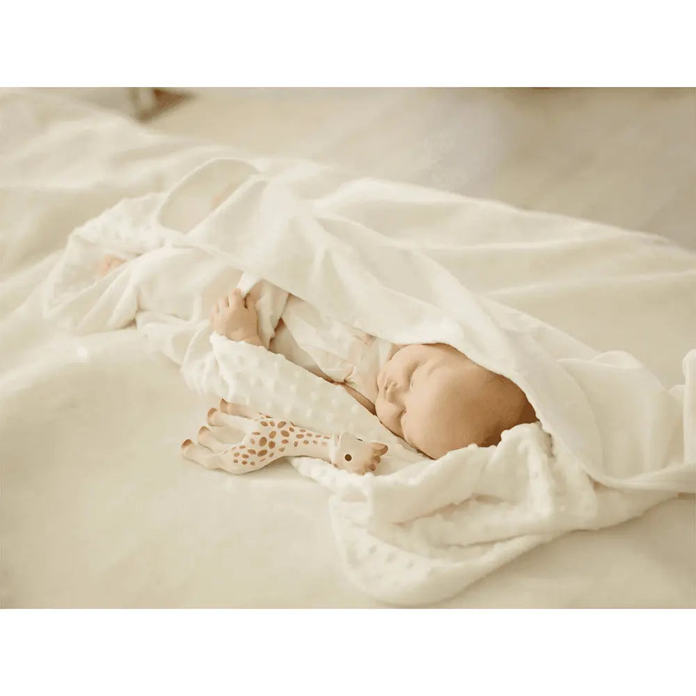 Sophie The Giraffe-Feeding - Teether-Baby Little Planet Hoppers Crossing