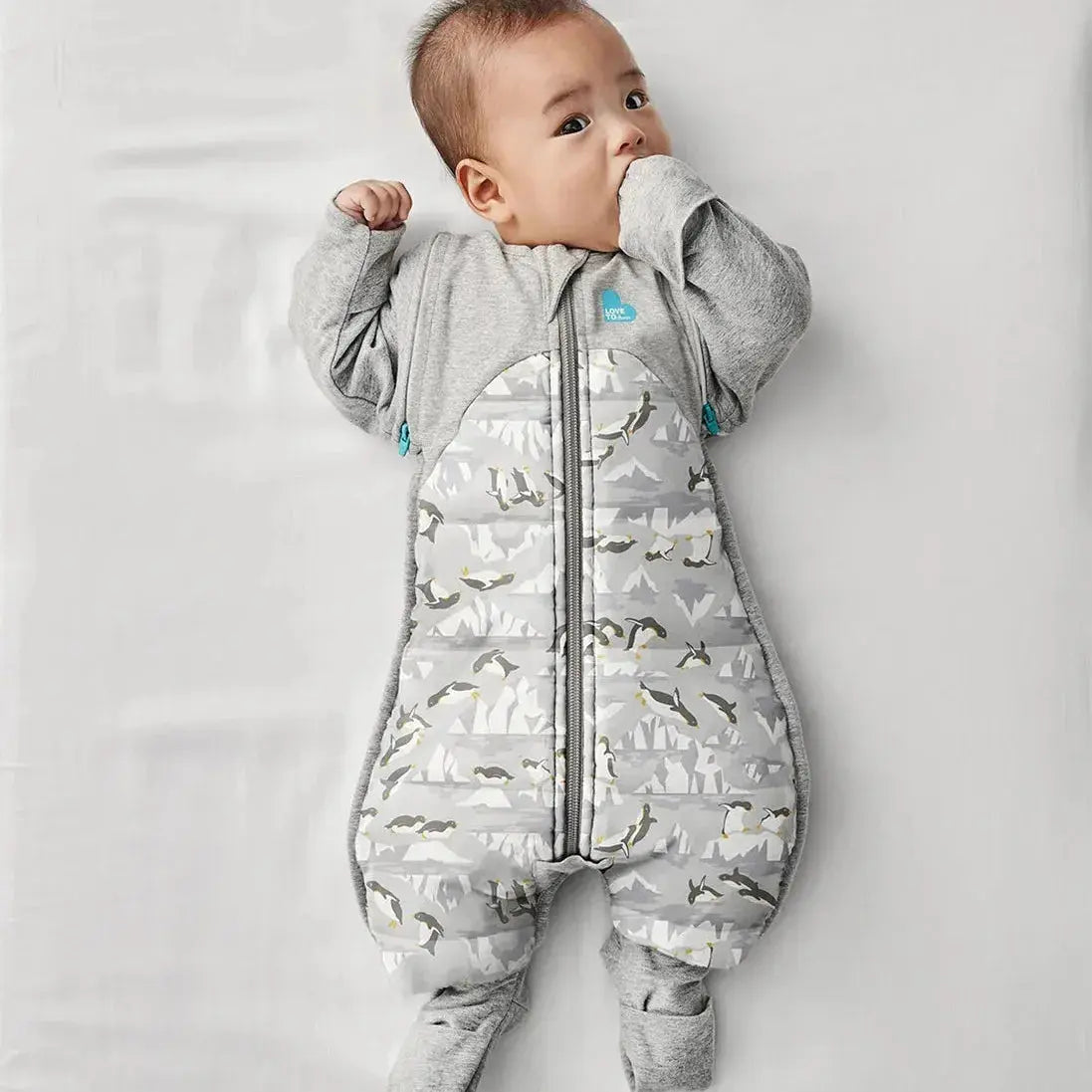 Love to Dream Swaddle UP Transition Suit Extra Warm 3.5 Tog - Penguin Parade Grey  