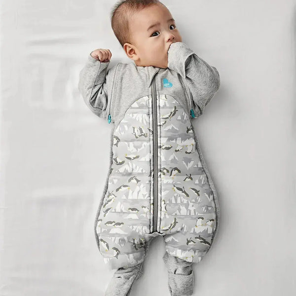 Love to Dream Swaddle UP Transition Suit Extra Warm 3.5 Tog Penguin Baby Little Planet