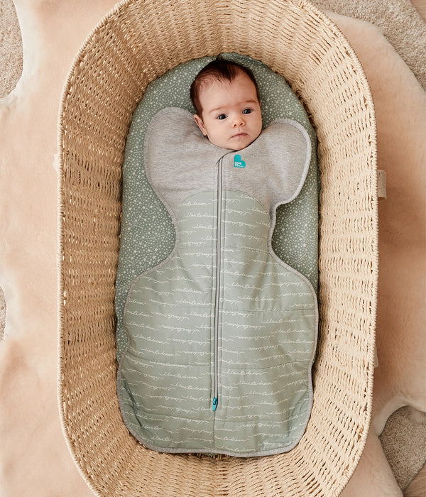Love to Dream Swaddle Up Warm 2.5 Tog - Dreamer Olive