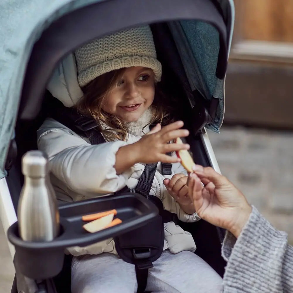 Thule Spring Snack Tray