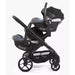 iCandy Designer Collection Cerium 2022